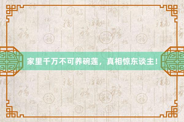 家里千万不可养碗莲，真相惊东谈主！