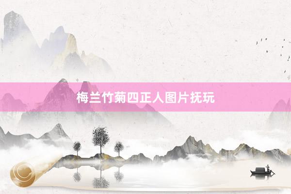 梅兰竹菊四正人图片抚玩